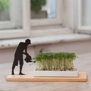Cress Growing Dish