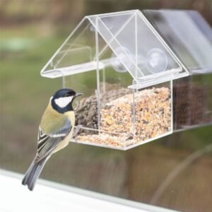 Window Mount Bird Feeder