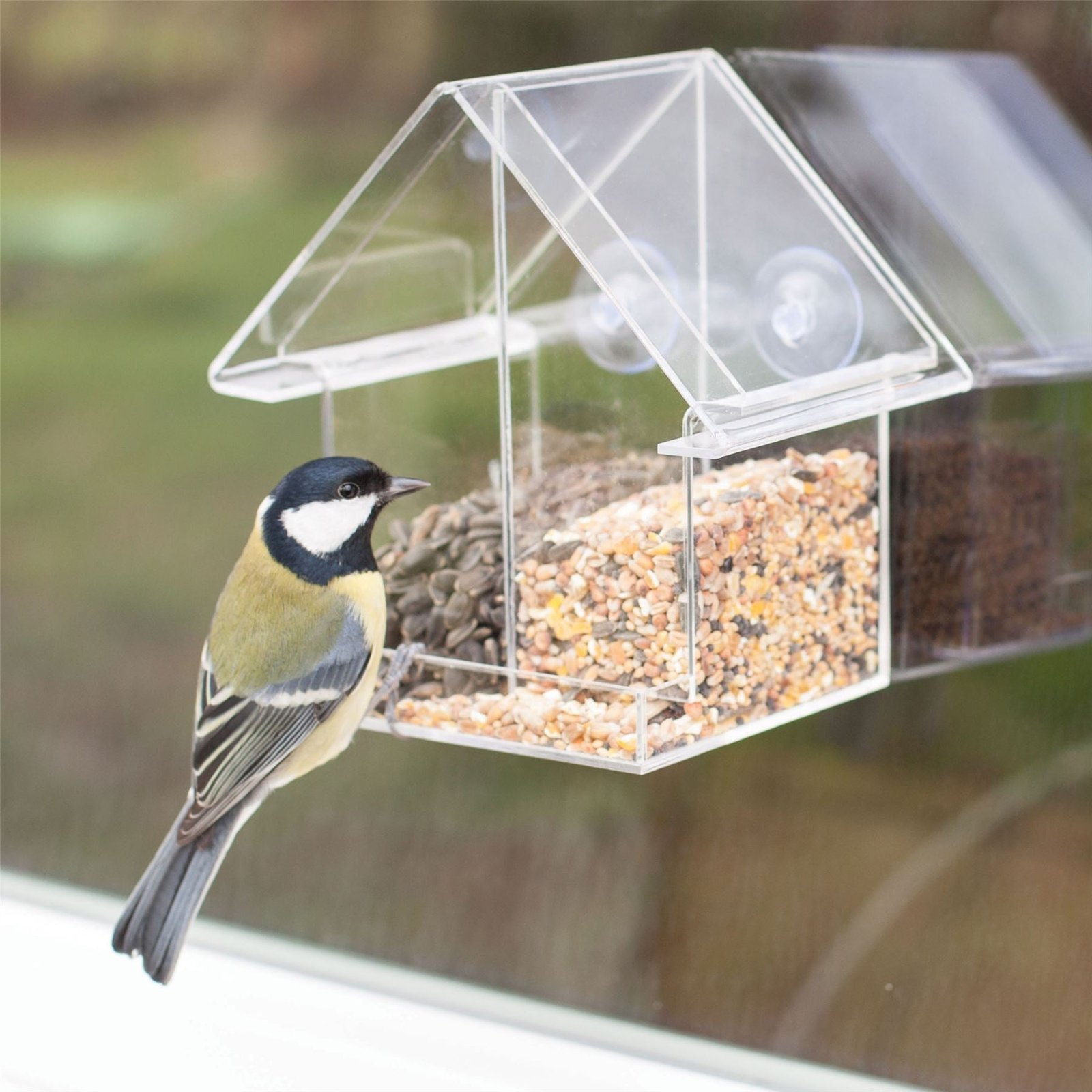 Window Mount Bird Feeder