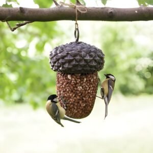 Acorn Bird Feeder