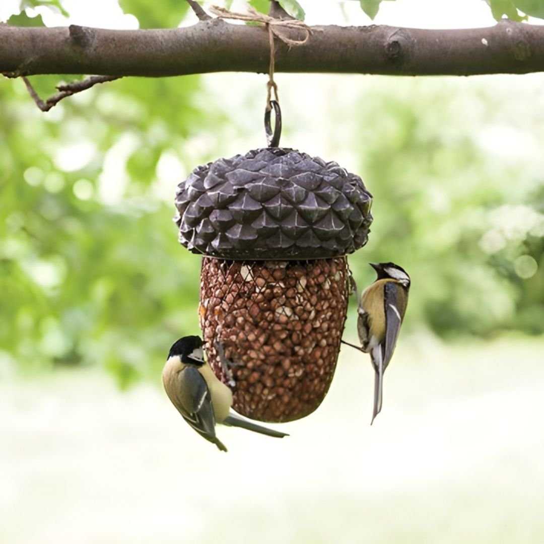 Acorn Bird Feeder