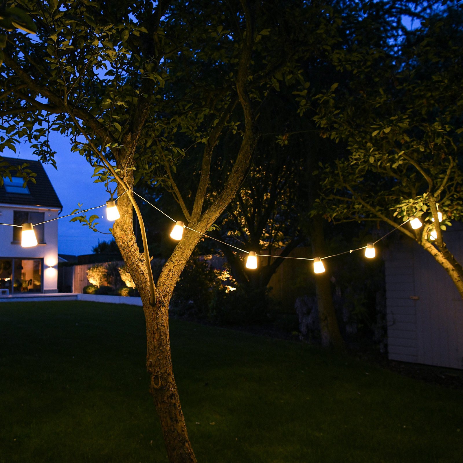 Festoon Lights - Image 4