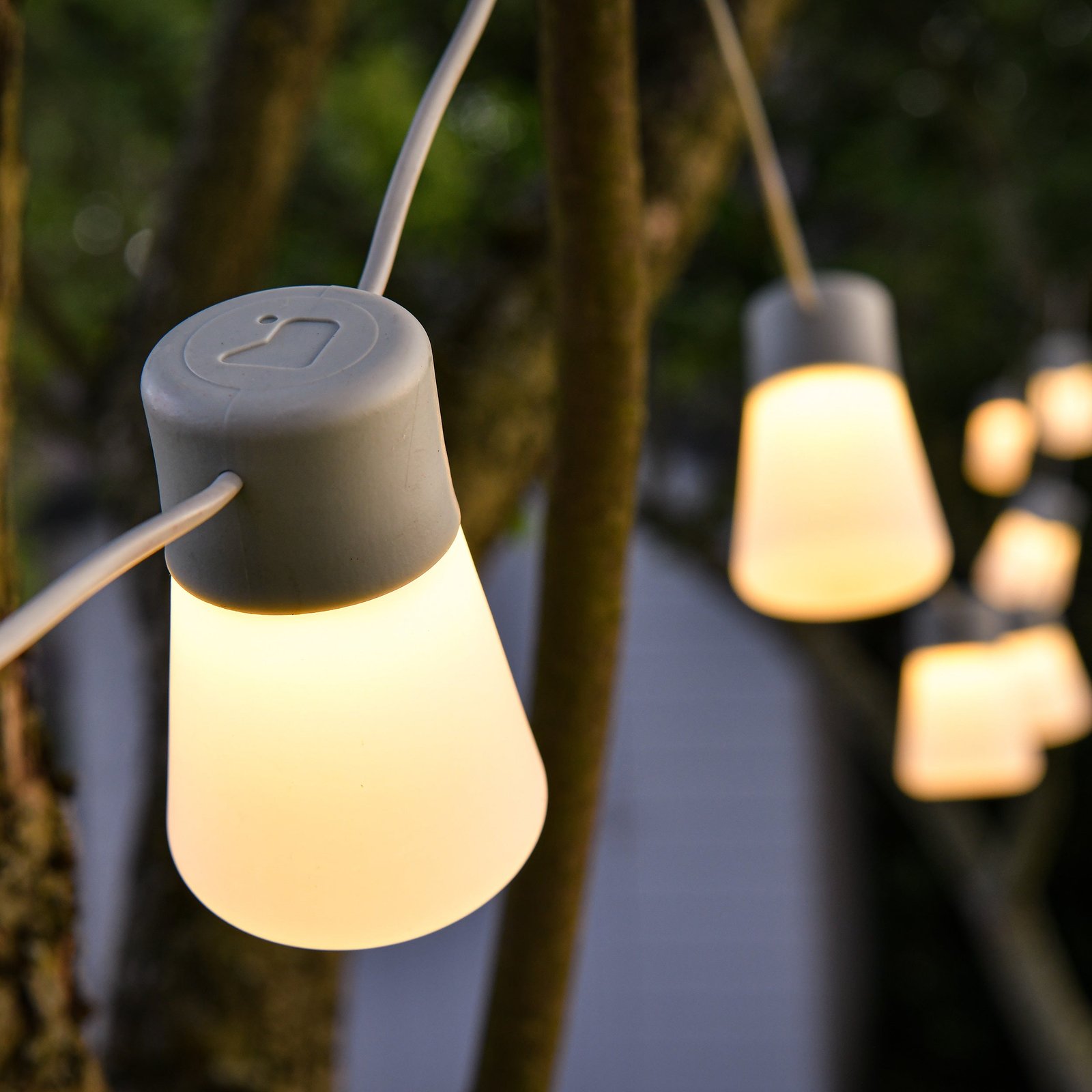 Festoon Lights