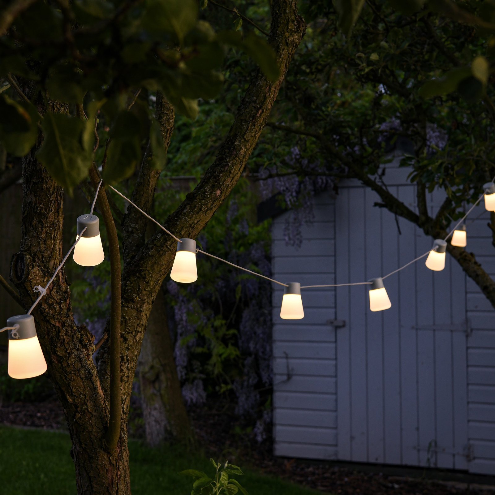 Festoon Lights - Image 2