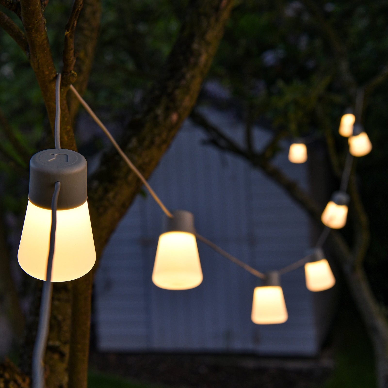 Festoon Lights - Image 3