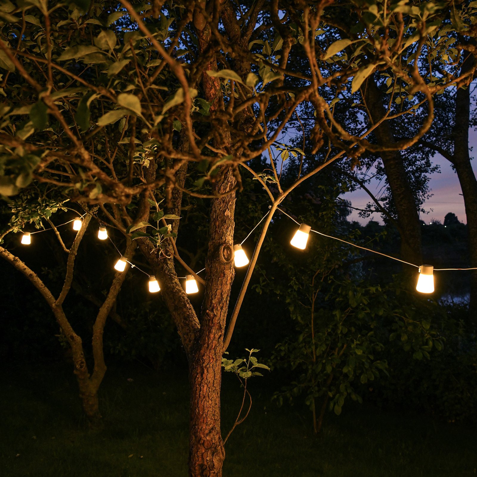 Festoon Lights - Image 6