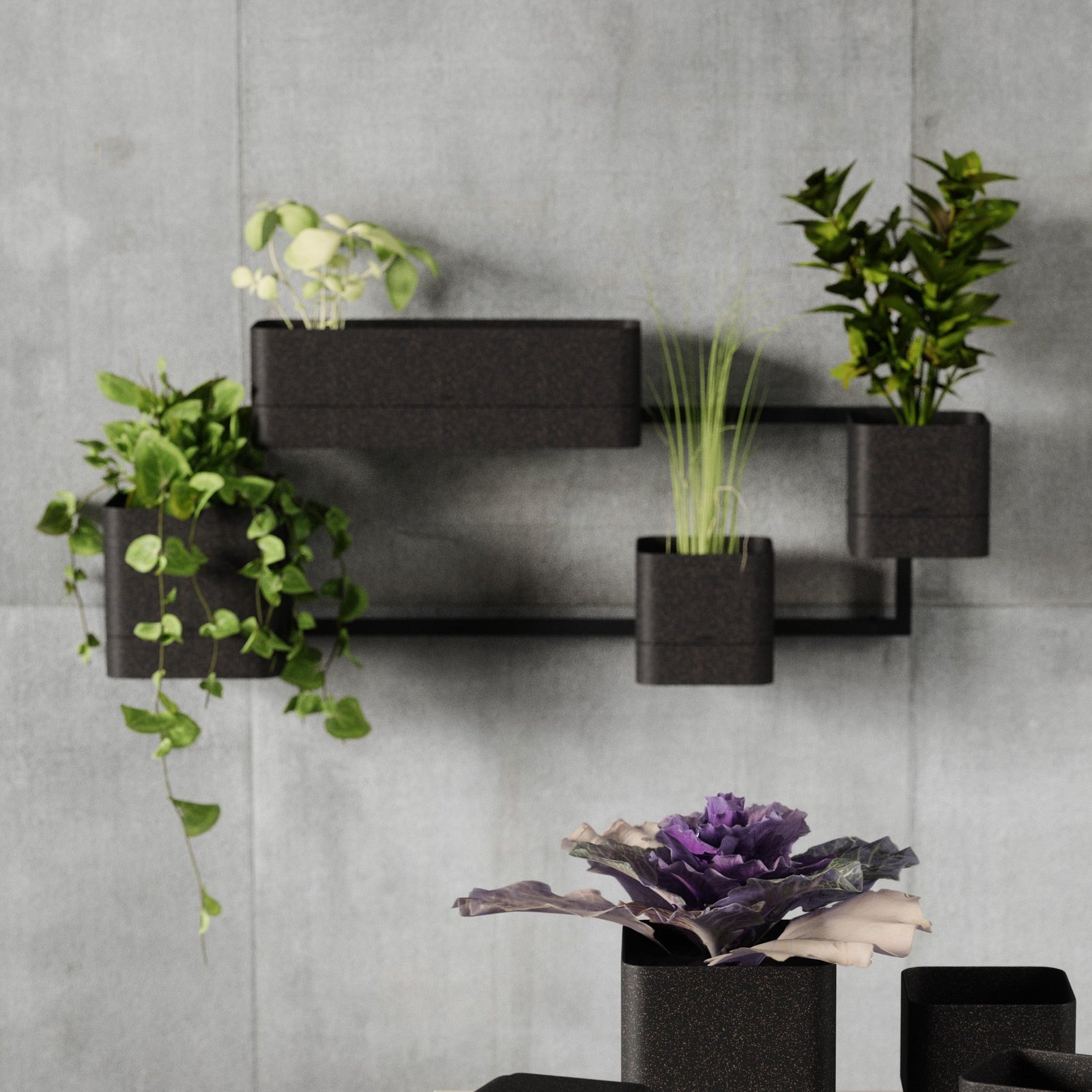 Wall Mounted Planter- Cubiko - Image 3