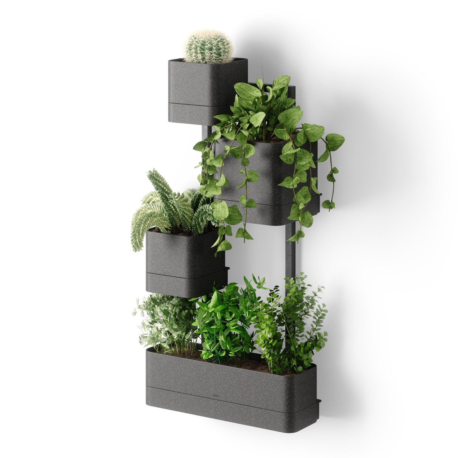 Wall Mounted Planter- Cubiko - Image 2