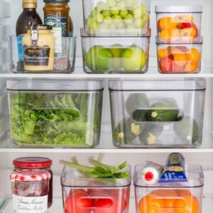 Large Clear Stacking Lidded Fridge Storage Box